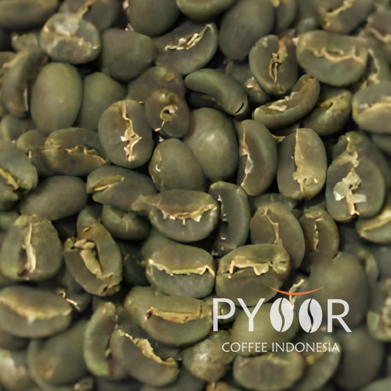 ACEH GAYO GRADE 1