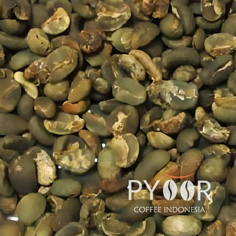 ACEH GAYO GRADE 2