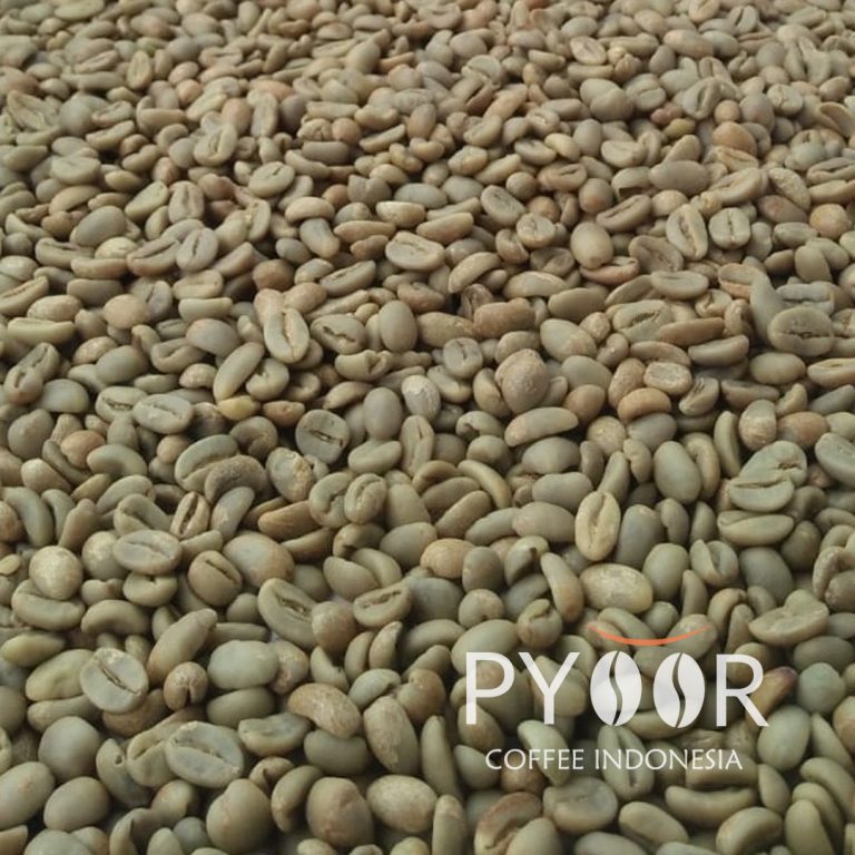 ACEH GAYO NATURAL FINE