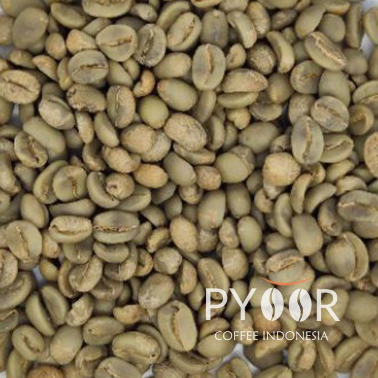 ARABICA IJEN