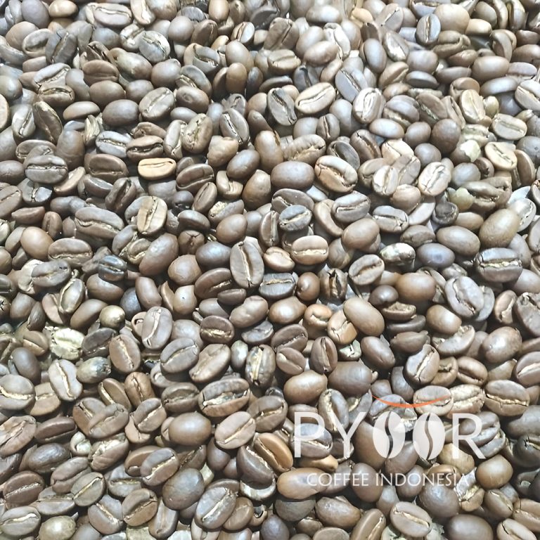 Arabica Papua Amungme